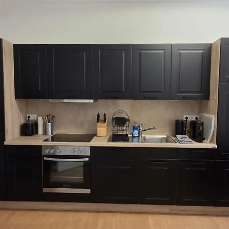 Grosszuegiges City-apartment Fuer 8 Gaeste Mit Parkplatz Im Zentrum 公寓 韦尼格罗德